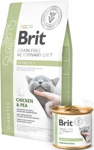 brit Diabetes gato brit Diabetes gato