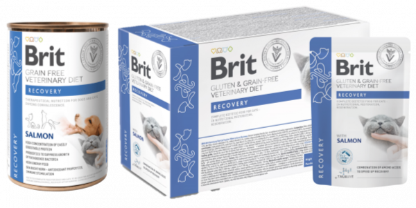brit Recovery brit Recovery