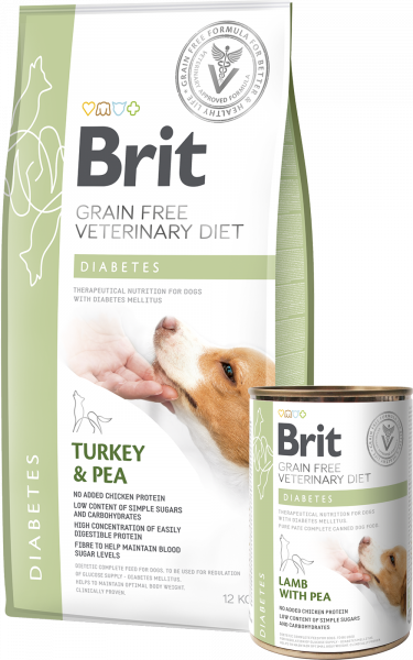 brit diabetes perros