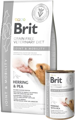Envase técnico de Brit Joint & Mobility